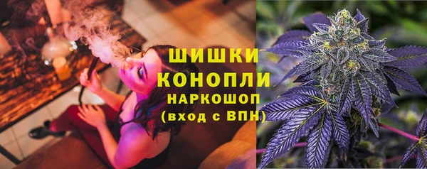 спайс Гусь-Хрустальный