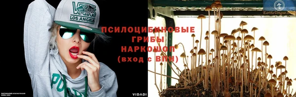 крисы Дмитровск