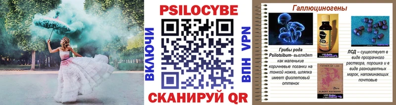 Галлюциногенные грибы MAGIC MUSHROOMS  Купить  Тамбов 