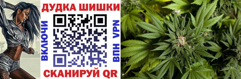 Купить  Тамбов  Конопля сатива 